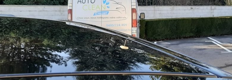 Auto Clean Concept, Industrie automobile