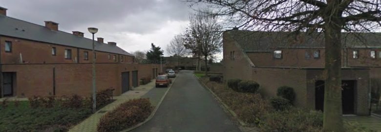 Auto reiniging