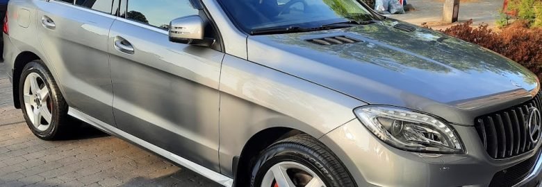 Cardetailing / Car clean DS