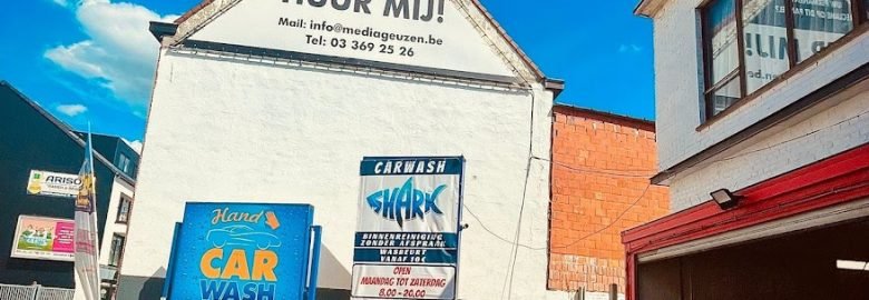 Carwash Shark