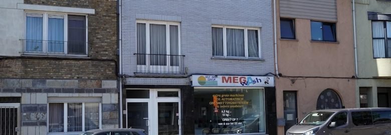 Self-Wash Center Mega Wash