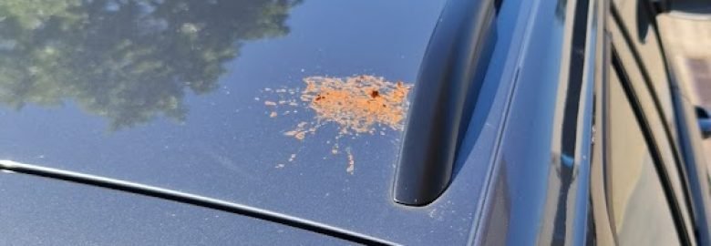 Total Wash